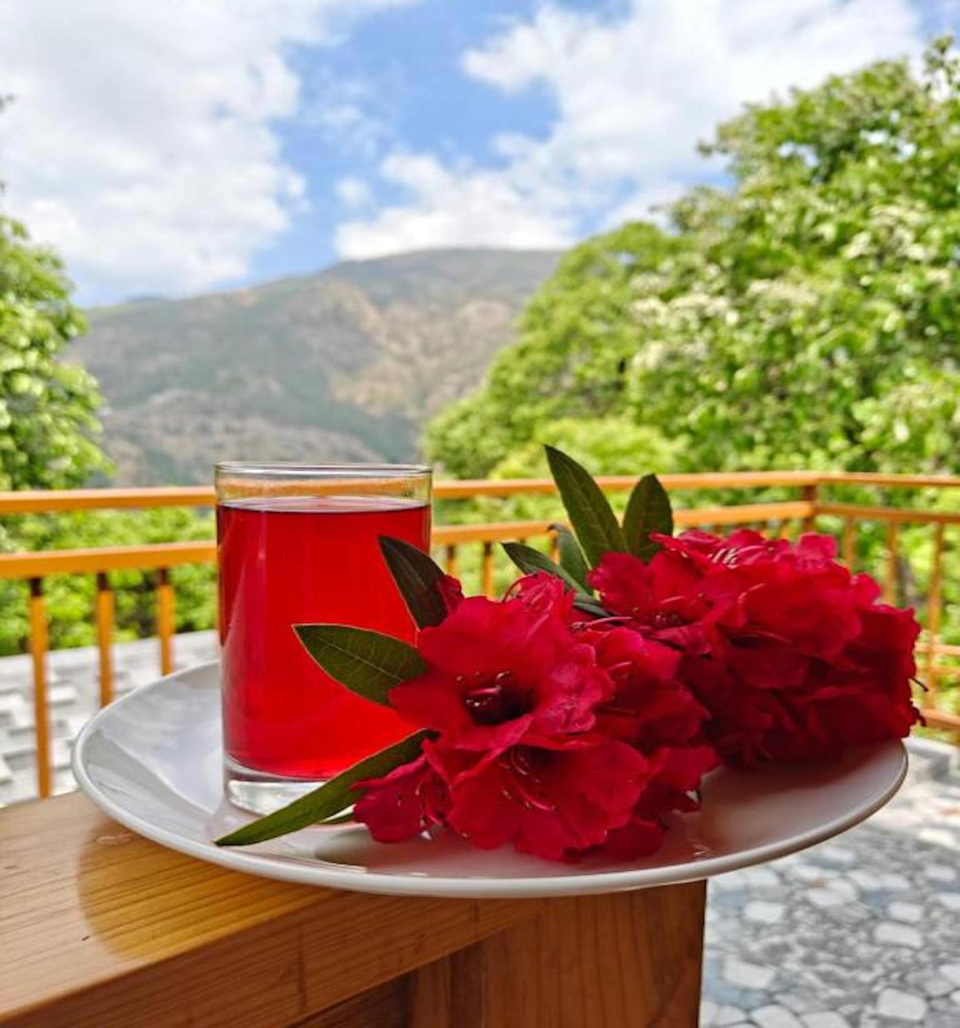 La Riqueza Kanatal #Mountain View Rooms # Near To Kodia Forest Jungle Saafari # 05 Mins From Adventure Activities Kültér fotó